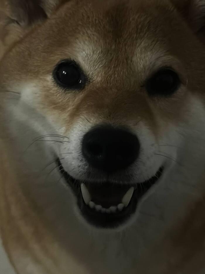   :   -      , , -