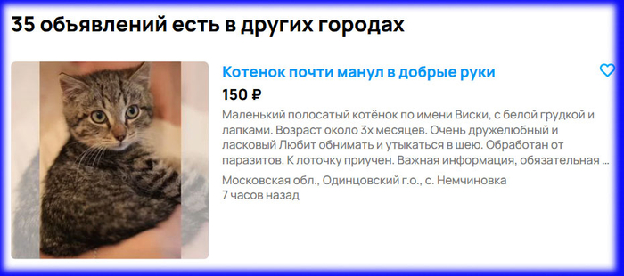 Похож, правда же?