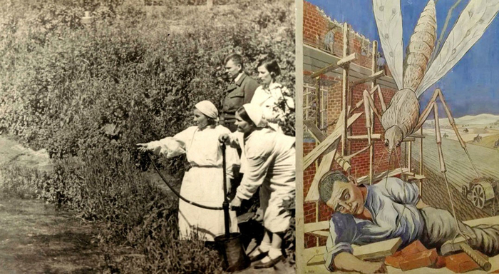 Борьба с малярией при СССР.