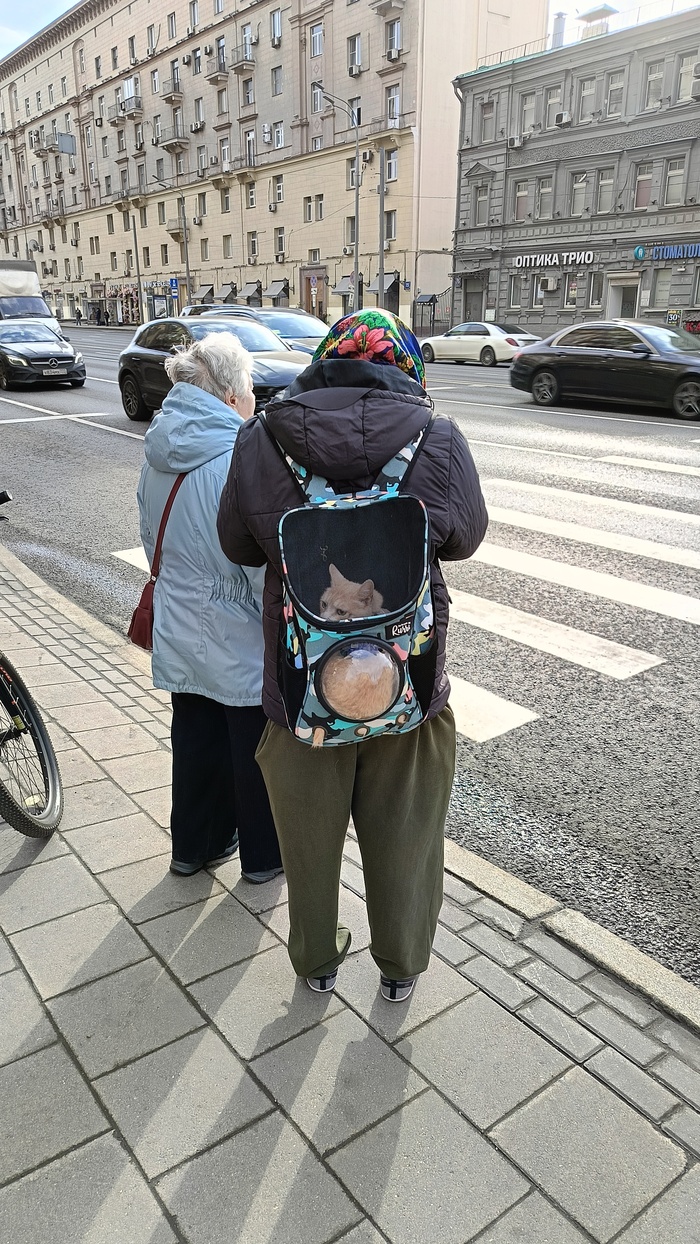 ��������� ������