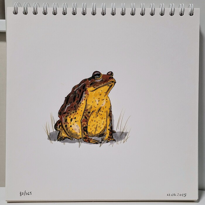    "  ". 80/365 , , , , , 