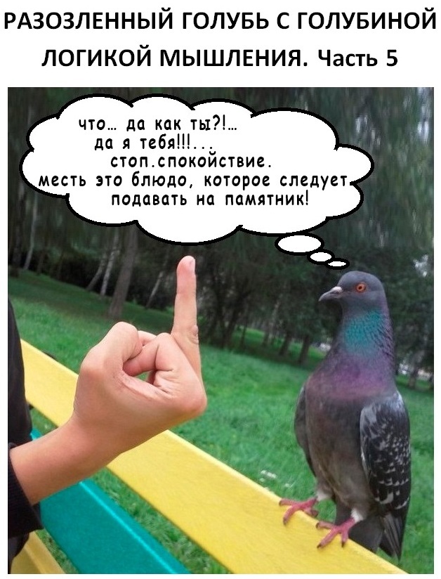 -5  ,   , , , , 