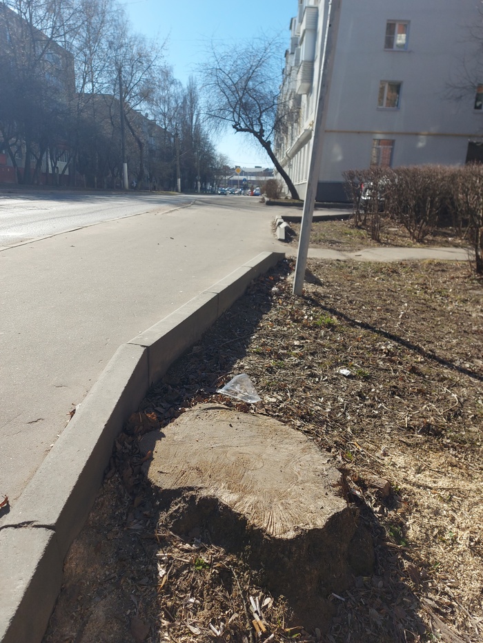 Bobr kurwa   , , 