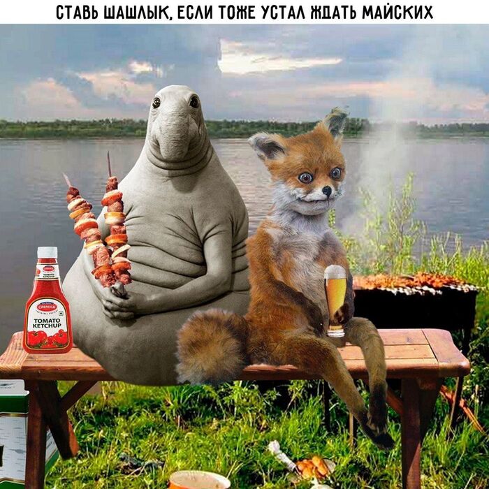    ? , , ,  ,  , ,   