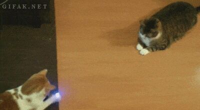   , , , 
