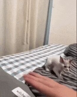   , , , 
