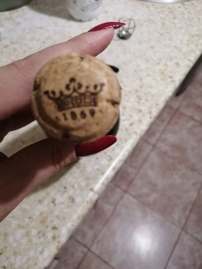 Yes or Not Question//***