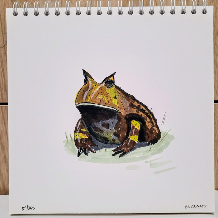    "  ". 81/365 , , , , 