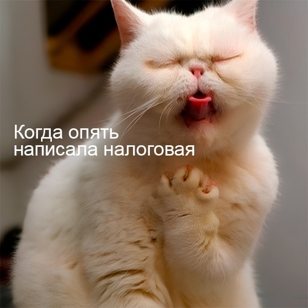       ! ,  , , ,   