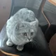 Аватар пользователя KanistraOo