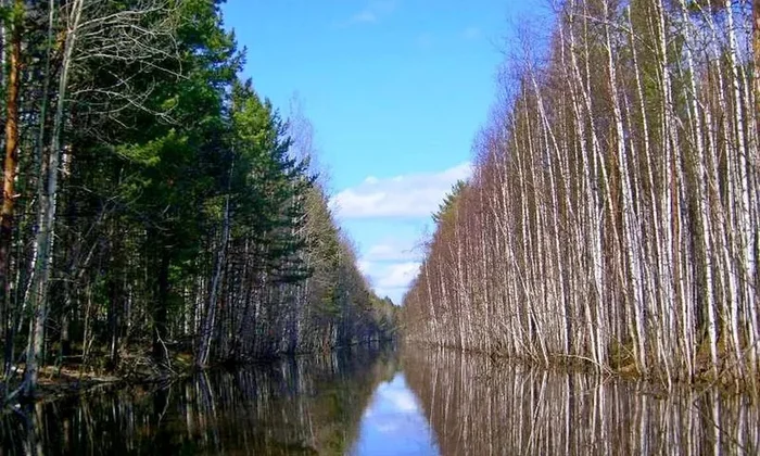 Обь-Енисейский канал: заросший артефакт XIX века Длиннопост, Обь, Енисей, Красноярский край, Томск, Россия, Фотография, Старое фото