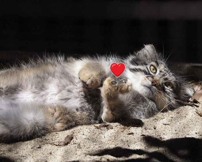  !    &lt;3