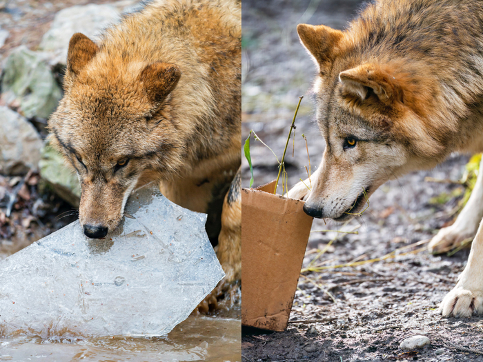  .     - ,     .      .