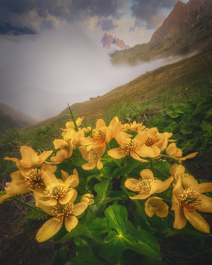 SONY ILCE-7RM3 Lens model FE 12-24 mm F4 G Shutter speed 1/13 Aperture f/22 Focal length 12 mm 35mm equivalent 12 mm ISO 100