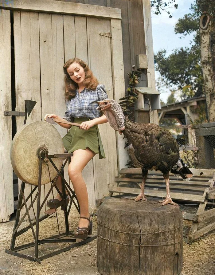 Подборка интересных и необычных фотографий из США. 20 раскрашенных фотографий ХХ века. Часть XVIII 20 век, Старое фото, США, Фотография, Колоризация, Длиннопост