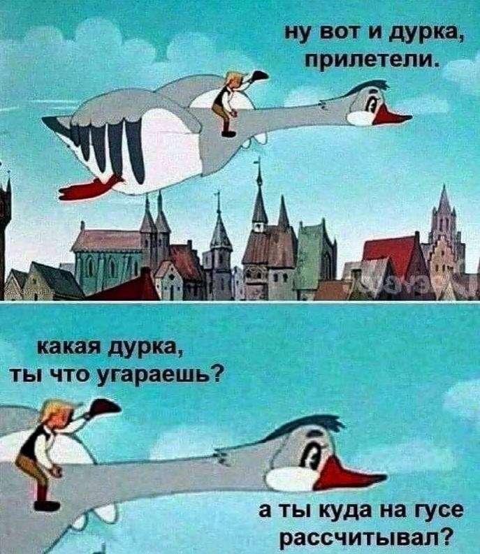    , , , ,  , , ,     