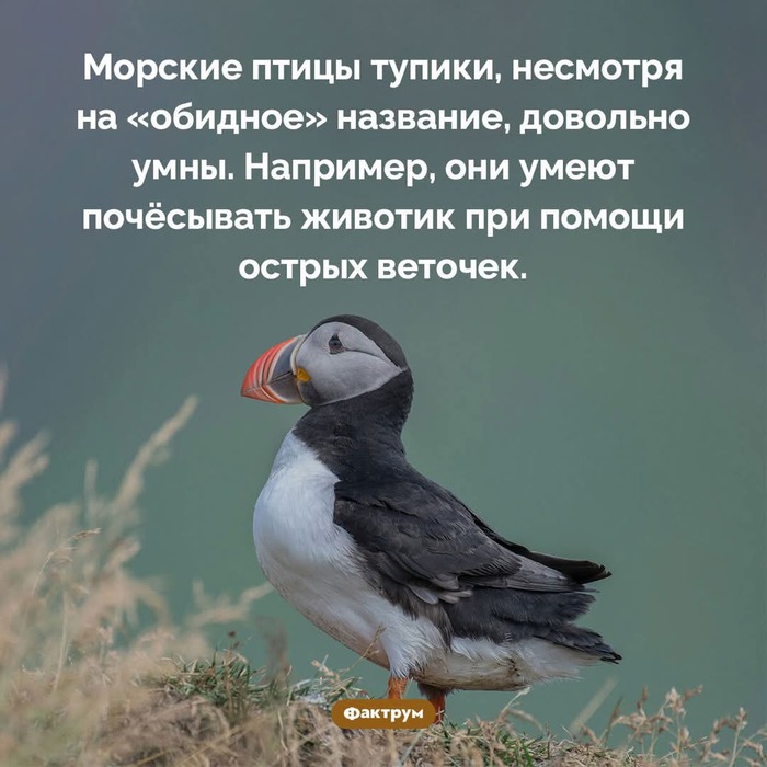    , ,   , 