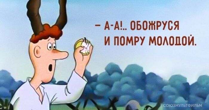 Мысли при покупке 400 грамм шампиньонов