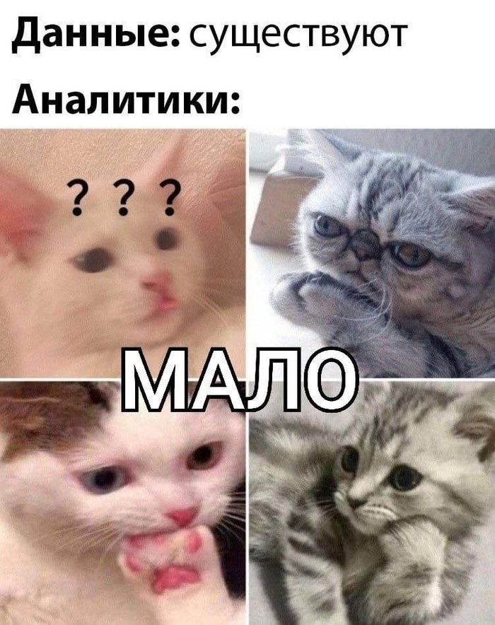  , ,  ,   , Telegram (), , IT ,  ,  , , , ,  