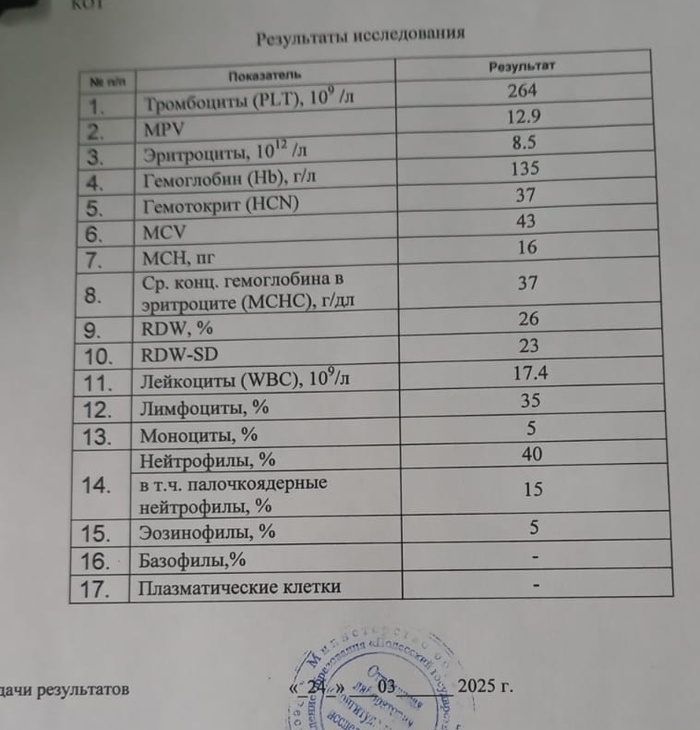    , , , ,  ,  , ,  , ,  , 