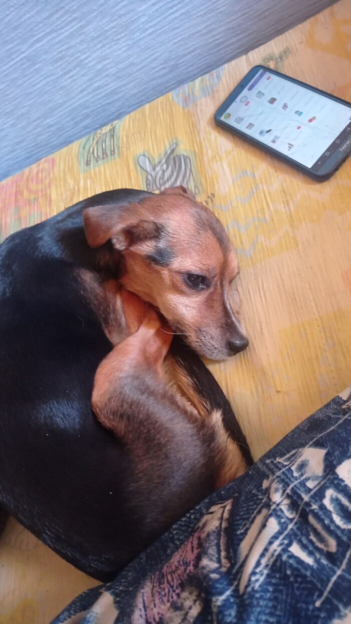 ����� ����� ��� ������