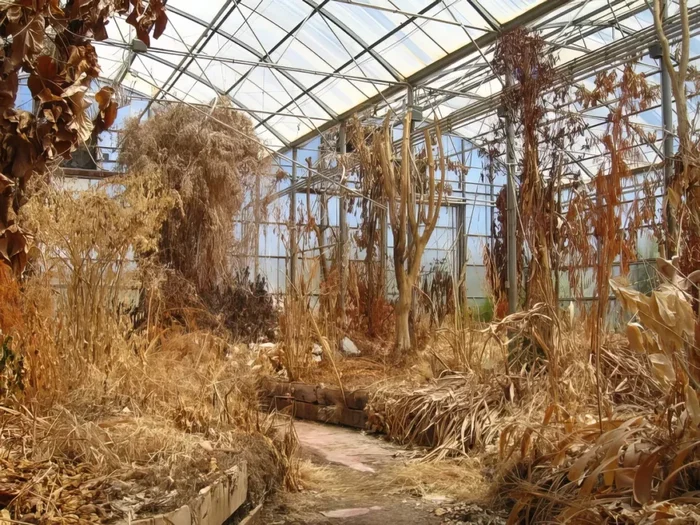 Земля в миниатюре: эксперимент «Биосфера-2» и его печальный итог Планета Земля, Земля, Длиннопост Земля в миниатюре: эксперимент «Биосфера-2» и его печальный итог Планета Земля, Земля, Длиннопост