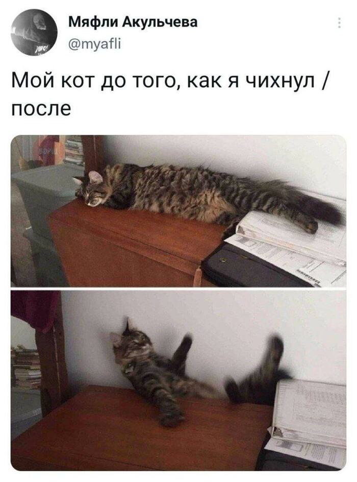 , ! , 