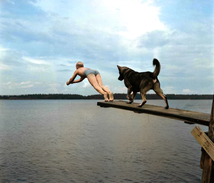 ��������: ����� �����