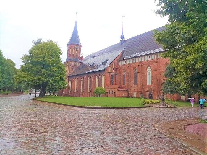 �����������. ������������ �����. ����: ������ �.