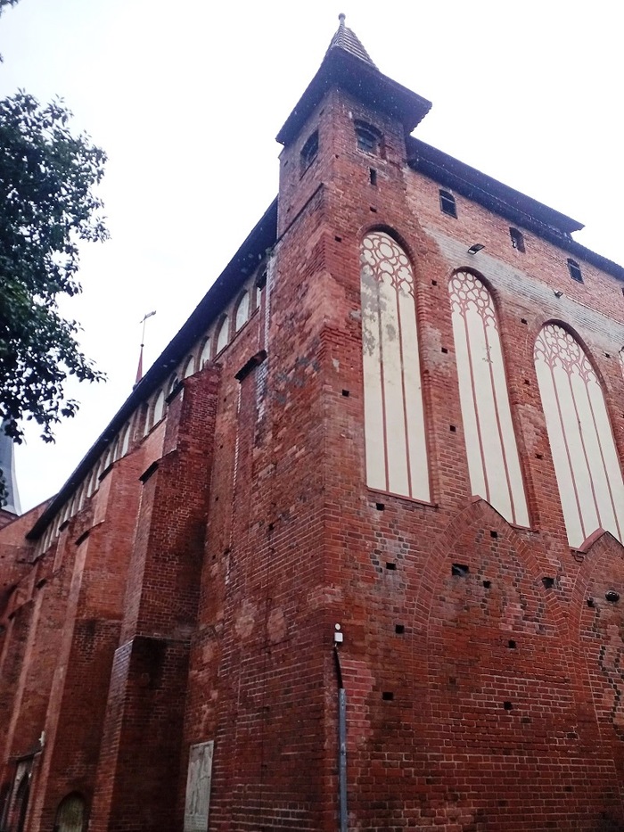 �����������. ������������ �����. ����: ������ �.