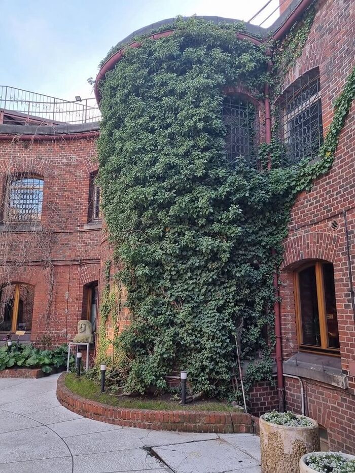 �����������.&nbsp; ����: ������ ���������