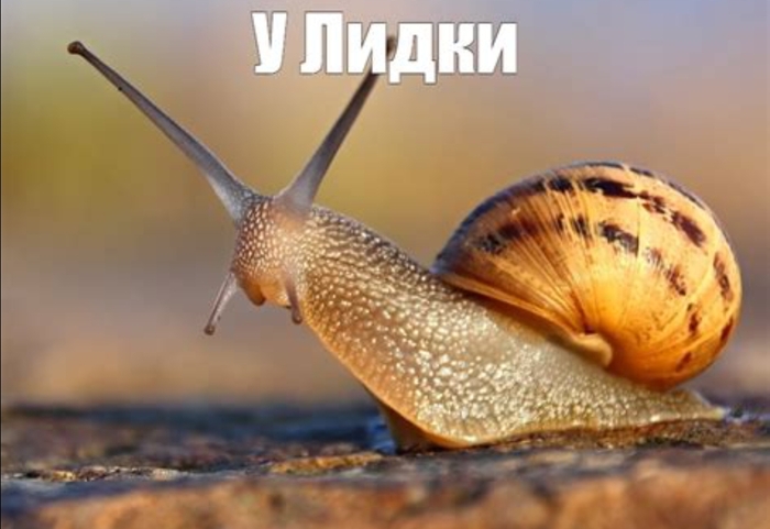 ����� �������������� ������� �� ����� �������