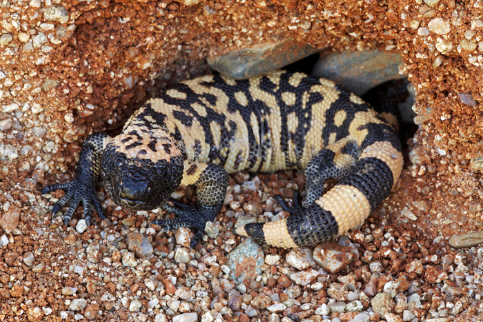 Это я стою на страже своей комнаты в 16 лет, чтобы в неё не заглядывала ни одна живая душа.