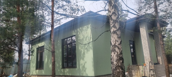 Задний двор