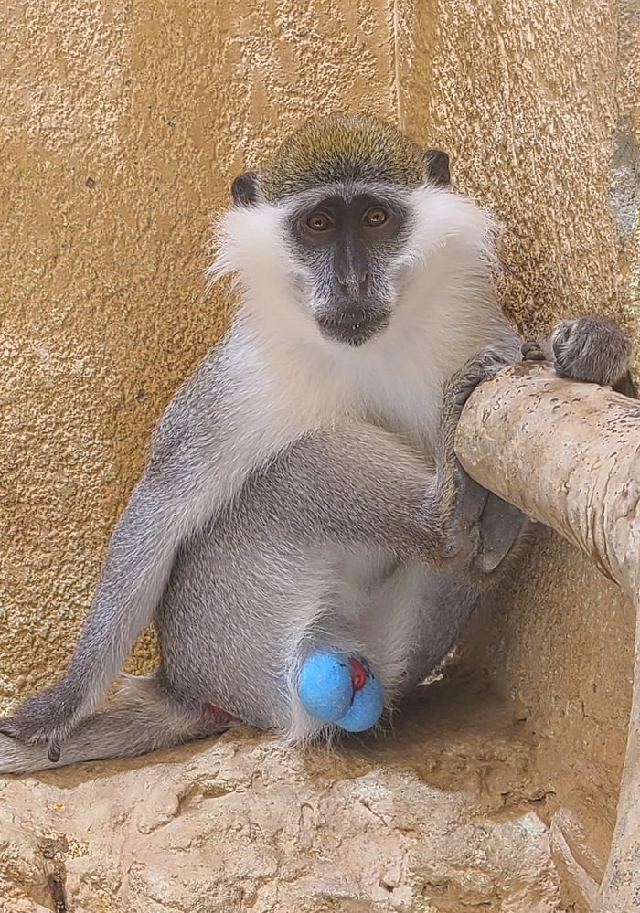 Когда долго не было секса