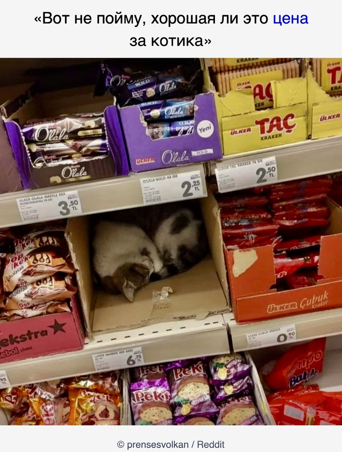 Приемлимая