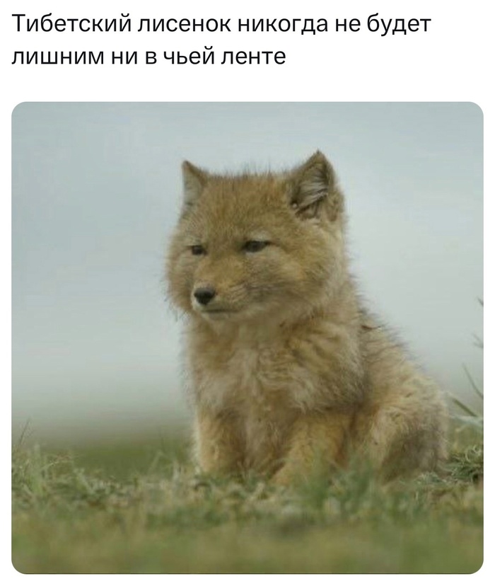 , , ,  , , , ,  