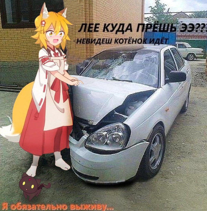  ,  ,   , Sewayaki Kitsune No Senko-san, Senko-san, , Chomusuke, , , Konosuba