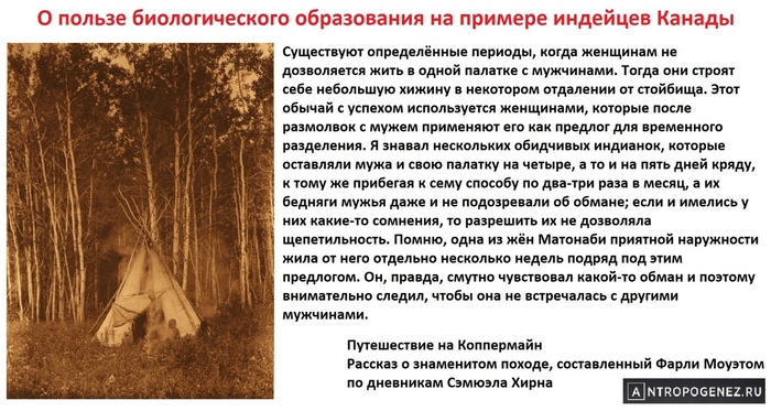         ,  , , ,   , , ,  (),  ,   