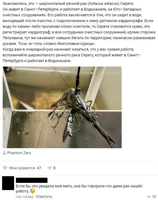  user4914256    ,  8   . (-)