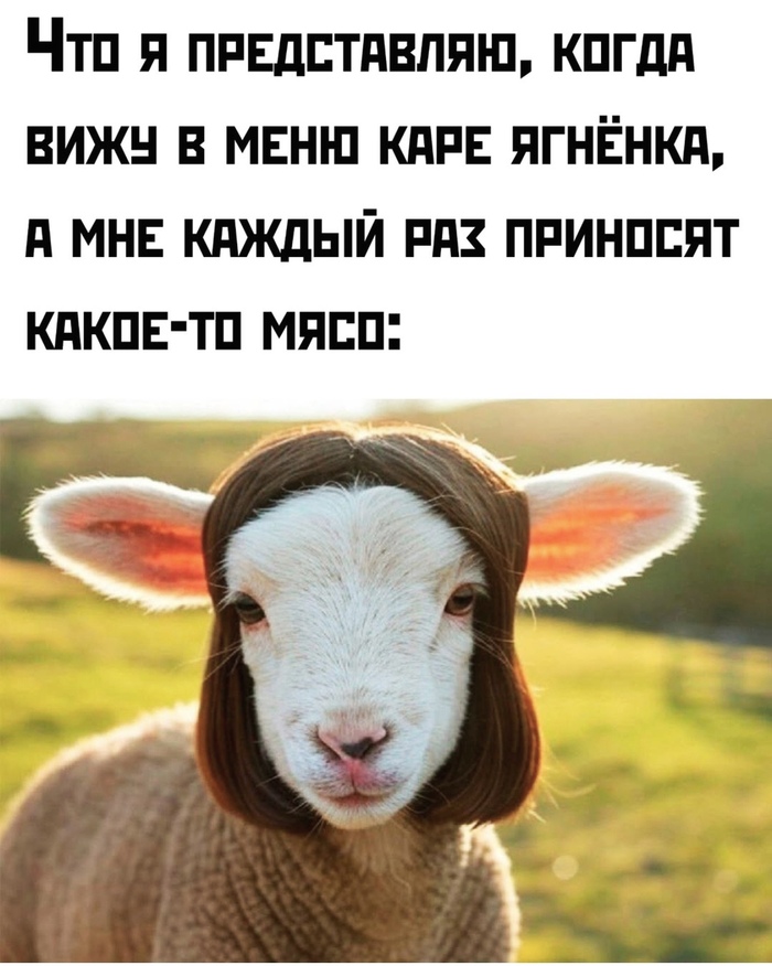        , ,  , ,   , , , ,   , 