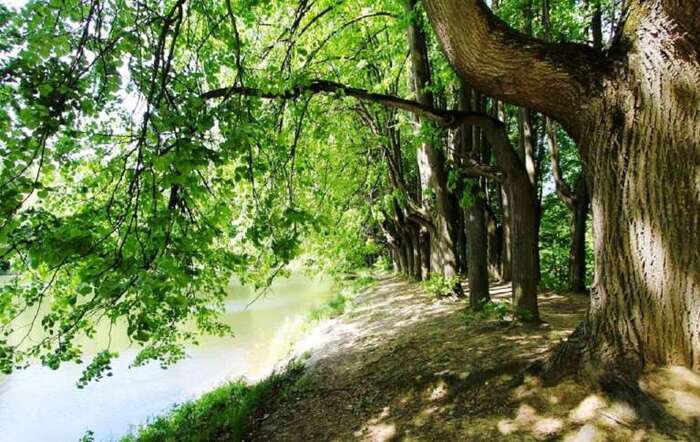    ,      .  1960        .         .