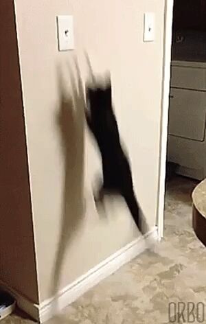   , , , ,   , 