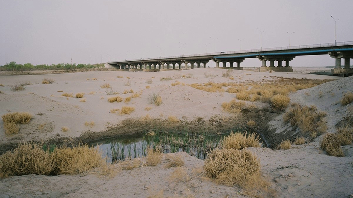 Конец Амударьи между Нукусом и Муйнаком, Узбекистан.