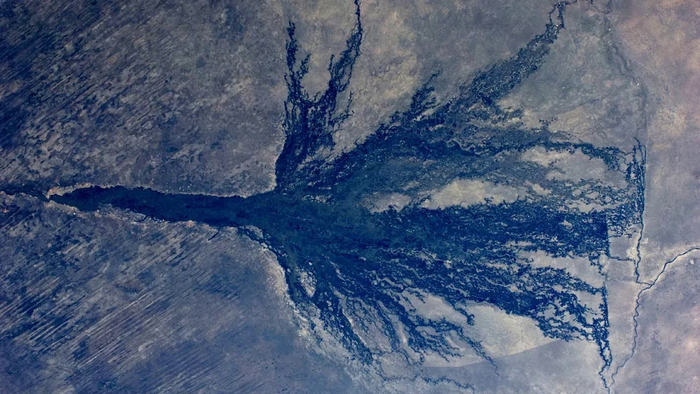 Дельта Окаванго сверху. Справа виден краей пустыни Калахари.