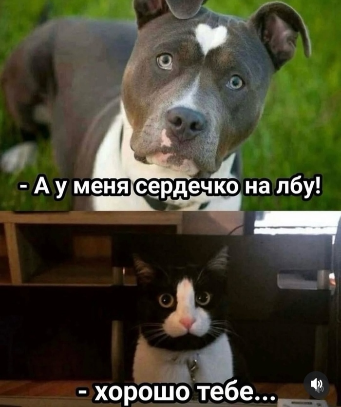  , , ,  , ,  , , 