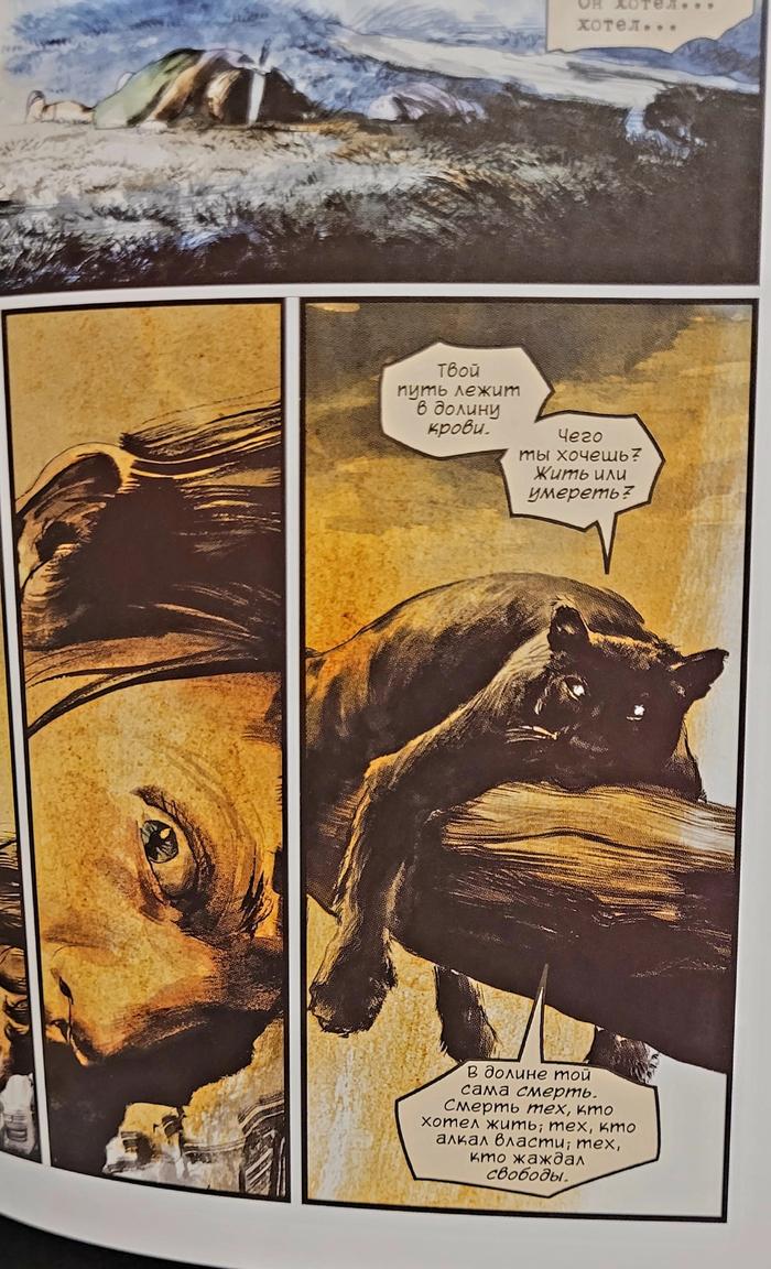         -, , , CatGeeks, 