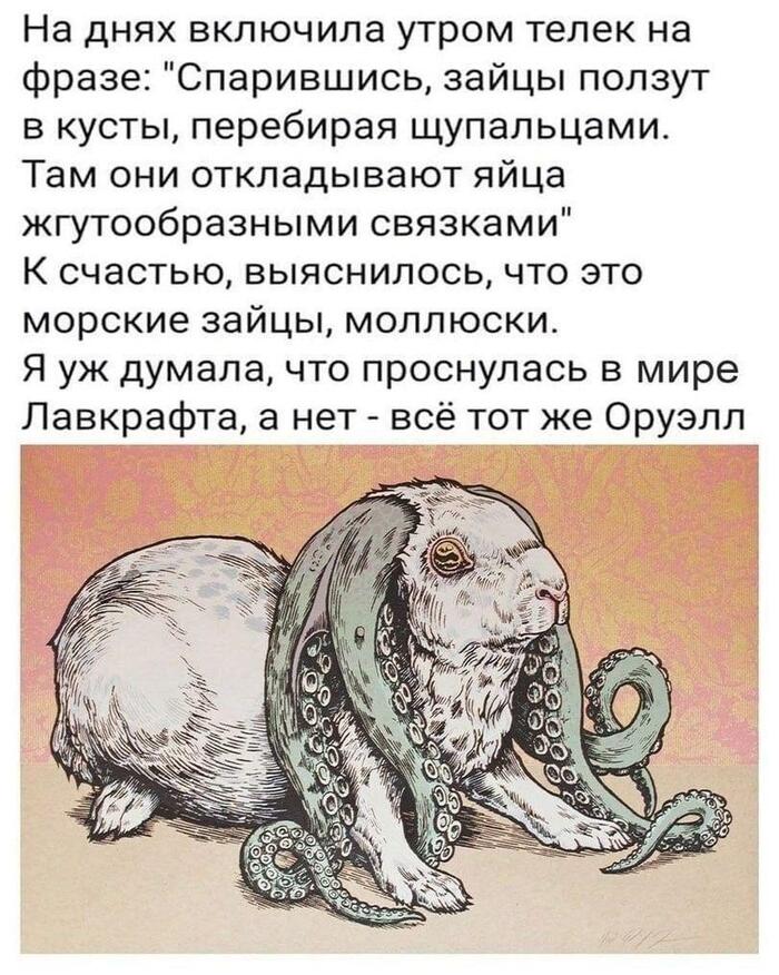      , ,   , 