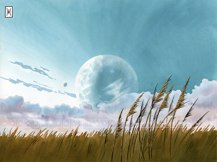 Акварель, хлопковая бумаг 21х27см. линеры.