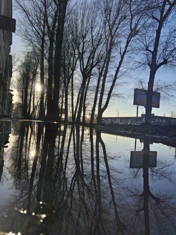 Цена самостоятельности